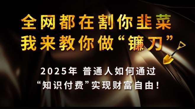 全网都在割你韭菜，我来教你做镰刀,2025普通人如何通过知识付费，实现财F自由【揭秘】-哔搭谋事网-原创客谋事网