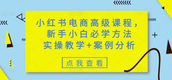 小红书电商高级课程，新手小白必学方法，实操教学+案例分析-哔搭谋事网-原创客谋事网