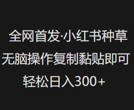 全网首发，小红书种草无脑操作，复制黏贴即可，轻松日入3张-哔搭谋事网-原创客谋事网