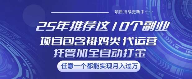 25年推荐这10个副业项目包含褂鸡类、代运营托管类、全自动打金类【揭秘】-哔搭谋事网-原创客谋事网