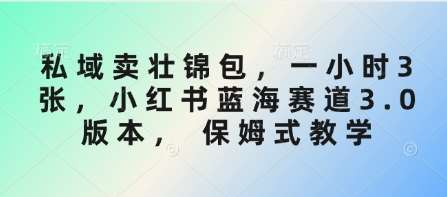 私域卖壮锦包，一小时3张，小红书蓝海赛道3.0版本， 保姆式教学-哔搭谋事网-原创客谋事网