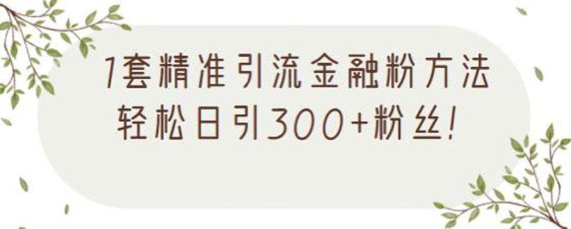 1套精准引流金融粉方法，轻松日引300+粉丝【视频课程】-哔搭谋事网-原创客谋事网