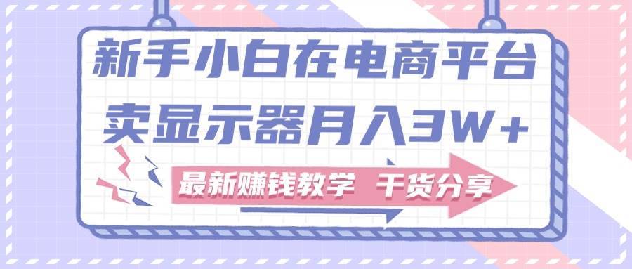 新手小白如何做到在电商平台卖显示器月入3W+，最新赚钱教学干货分享-哔搭谋事网-原创客谋事网