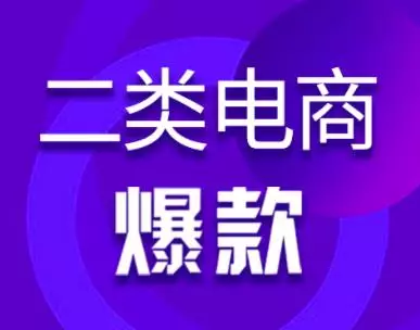 聊一个小众的电商项目——二类电商，类似1688无货源，但重广告投放。-哔搭谋事网-原创客谋事网