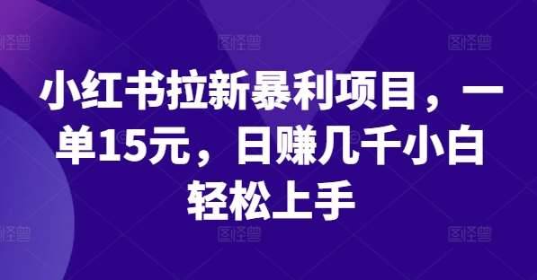 小红书拉新暴利项目，一单15元，日赚几千小白轻松上手【揭秘】-哔搭谋事网-原创客谋事网