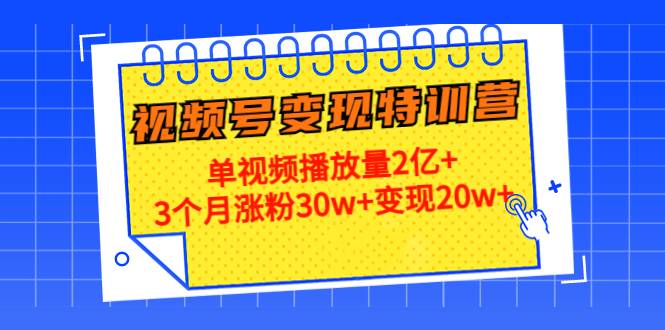 20天视频号变现特训营：单视频播放量2亿+3个月涨粉30w+变现20w+-哔搭谋事网-原创客谋事网