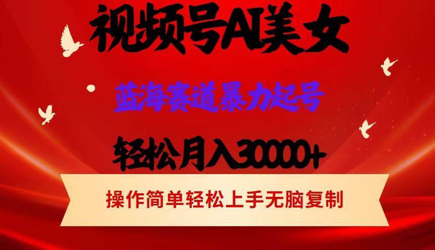 （12178期）视频号AI美女跳舞，轻松月入30000+，蓝海赛道，流量池巨大，起号猛，当…-哔搭谋事网-原创客谋事网