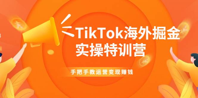 TikTok海外掘金实操特训营：手把手教运营变现赚钱【视频课程】-哔搭谋事网-原创客谋事网