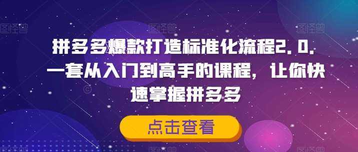 拼多多爆款打造标准化流程2.0，一套从入门到高手的课程，让你快速掌握拼多多-哔搭谋事网-原创客谋事网