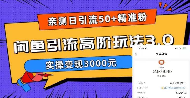 实测日引50+精准粉，闲鱼引流高阶玩法3.0，实操变现3000元-哔搭谋事网-原创客谋事网