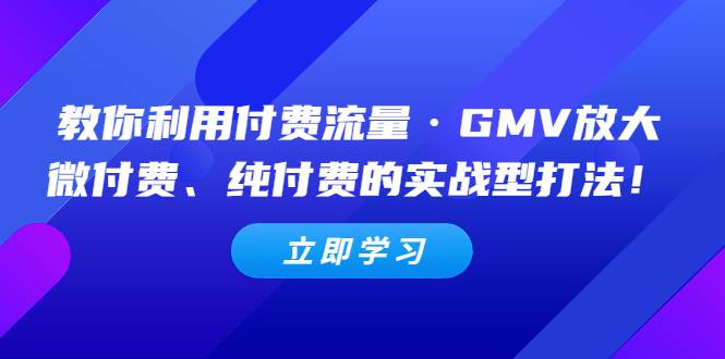 教你利用付费流量·GMV放大，微付费、纯付费的实战型打法-哔搭谋事网-原创客谋事网