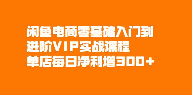 闲鱼电商零基础入门到进阶VIP实战课程，单店每日净利增300+-哔搭谋事网-原创客谋事网