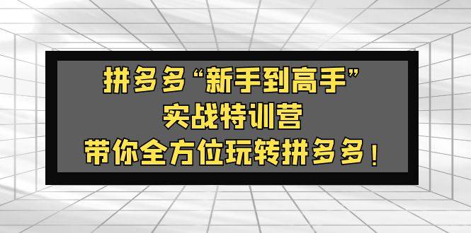 拼多多“新手到高手”实战特训营：带你全方位玩转拼多多-哔搭谋事网-原创客谋事网