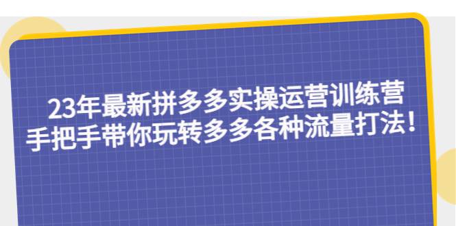 23年最新拼多多实操运营训练营：手把手带你玩转多多各种流量打法-哔搭谋事网-原创客谋事网