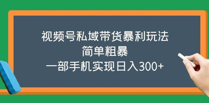 视频号私域带货暴利玩法，简单粗暴，一部手机实现日入300+-哔搭谋事网-原创客谋事网