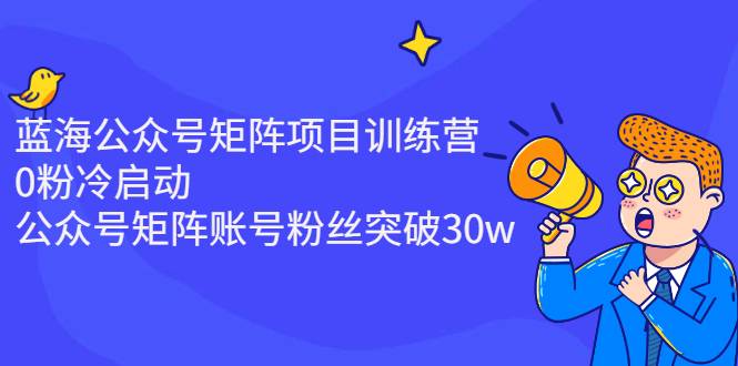 蓝海公众号矩阵项目训练营，0粉冷启动，公众号矩阵账号粉丝突破30w-哔搭谋事网-原创客谋事网