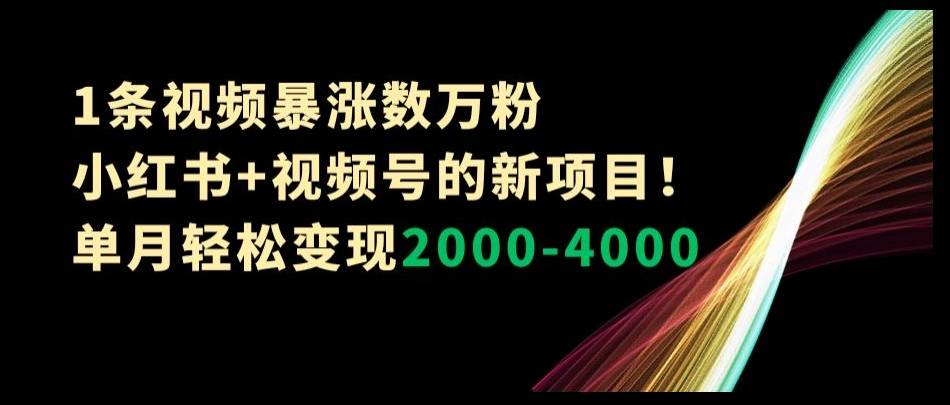 1条视频暴涨数万粉–小红书+视频号的新项目！单月轻松变现2000-4000【揭秘】-哔搭谋事网-原创客谋事网