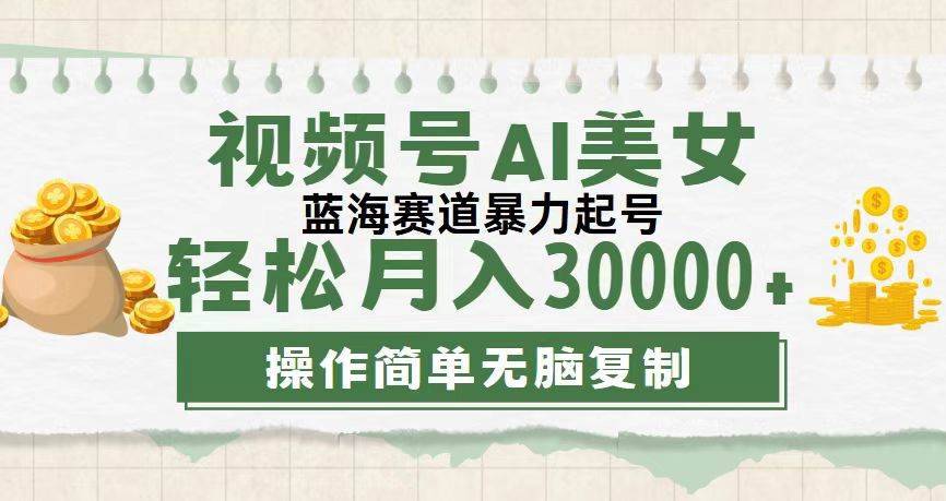 （12087期）视频号AI美女跳舞，轻松月入30000+，蓝海赛道，流量池巨大，起号猛，无…-哔搭谋事网-原创客谋事网