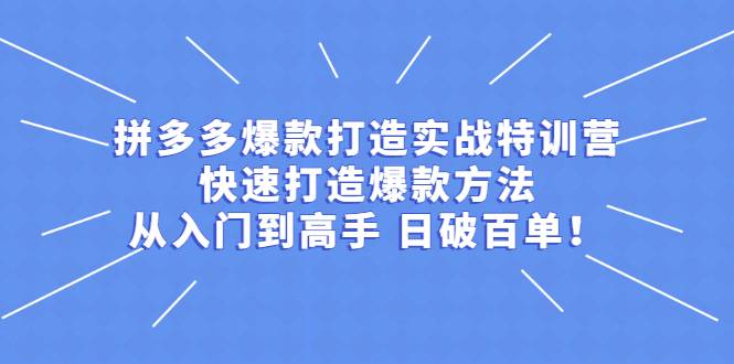 拼多多爆款打造实战特训营：快速打造爆款方法，从入门到高手 日破百单-哔搭谋事网-原创客谋事网