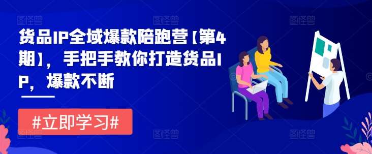 货品IP全域爆款陪跑营【第4期】，手把手教你打造货品IP，爆款不断-哔搭谋事网-原创客谋事网