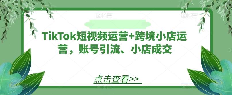 TikTok短视频运营+跨境小店运营，账号引流、小店成交-哔搭谋事网-原创客谋事网