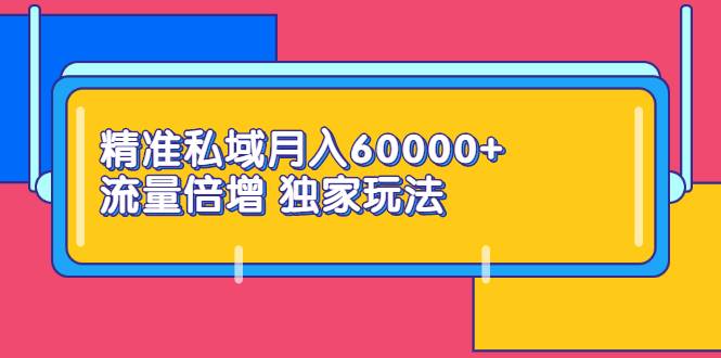 精准私域月入60000+ 流量倍增 独家玩法（9节视频课）-哔搭谋事网-原创客谋事网