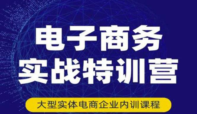 电子商务实战特训营，全方位带你入门电商，308种方式玩转电商-哔搭谋事网-原创客谋事网