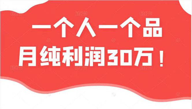 某公众号付费文章：一个人一个品月纯利润30万的蓝海电商经典案例！-哔搭谋事网-原创客谋事网