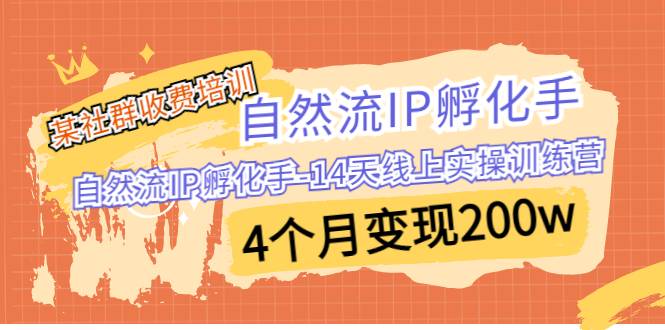 某社群收费培训：自然流IP 孵化手-14天线上实操训练营 4个月变现200w-哔搭谋事网-原创客谋事网