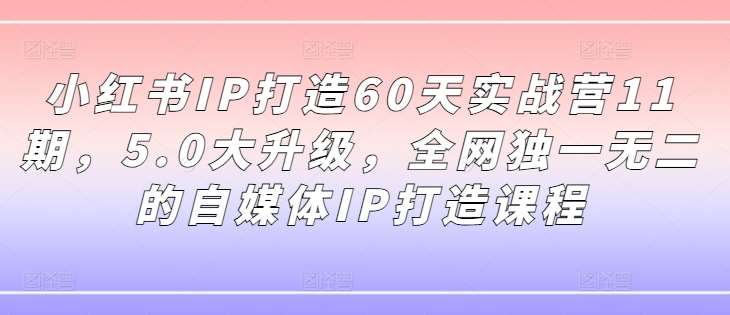 小红书IP打造60天实战营11期，5.0大升级，全网独一无二的自媒体IP打造课程-哔搭谋事网-原创客谋事网