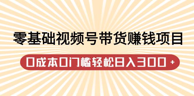 零基础视频号带货赚钱项目，0成本0门槛轻松日入300+【视频教程】-哔搭谋事网-原创客谋事网