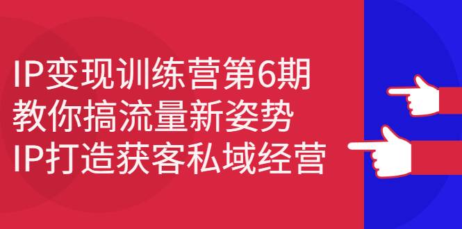 IP变现训练营第6期：教你搞流量新姿势，IP打造获客私域经营-哔搭谋事网-原创客谋事网