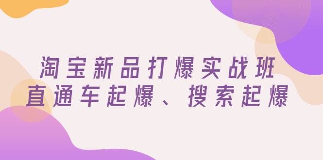 淘宝新品打爆实战班，直通车起爆、搜索起爆（价值599元）-哔搭谋事网-原创客谋事网